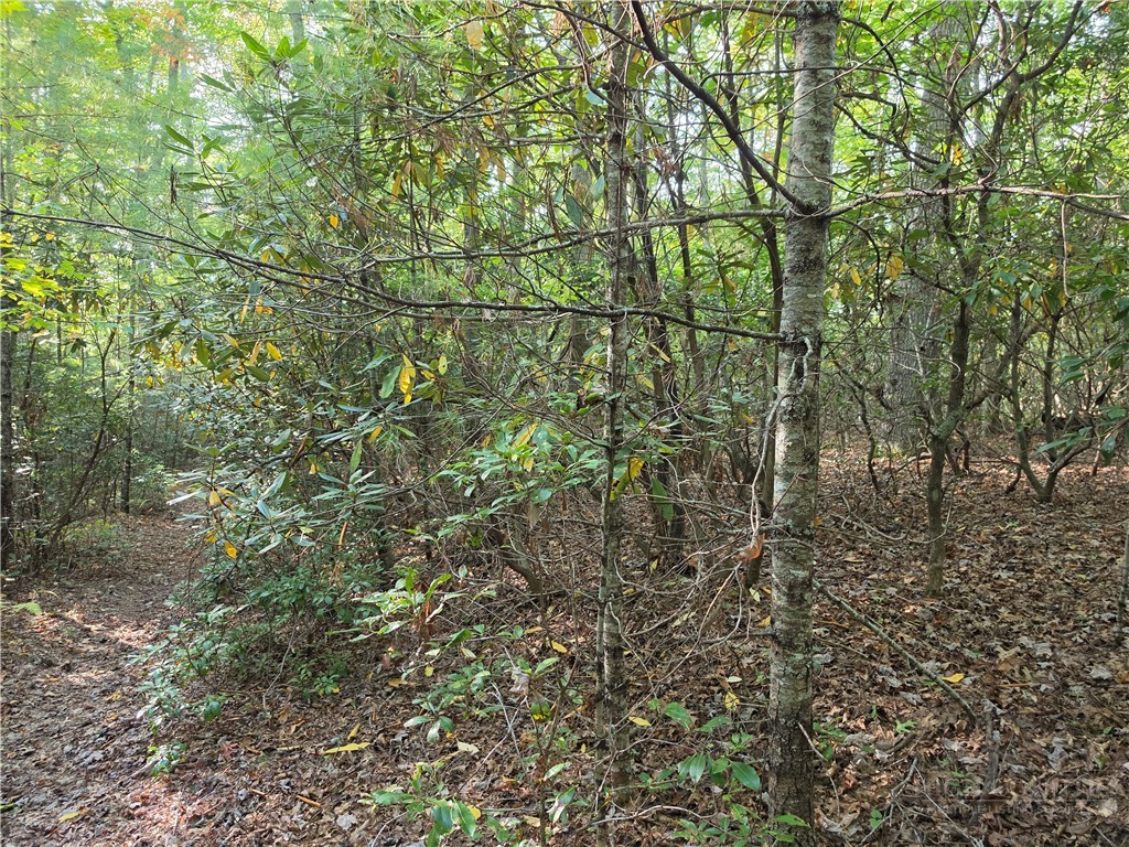 TBD Off Windy Acres Ridge Road