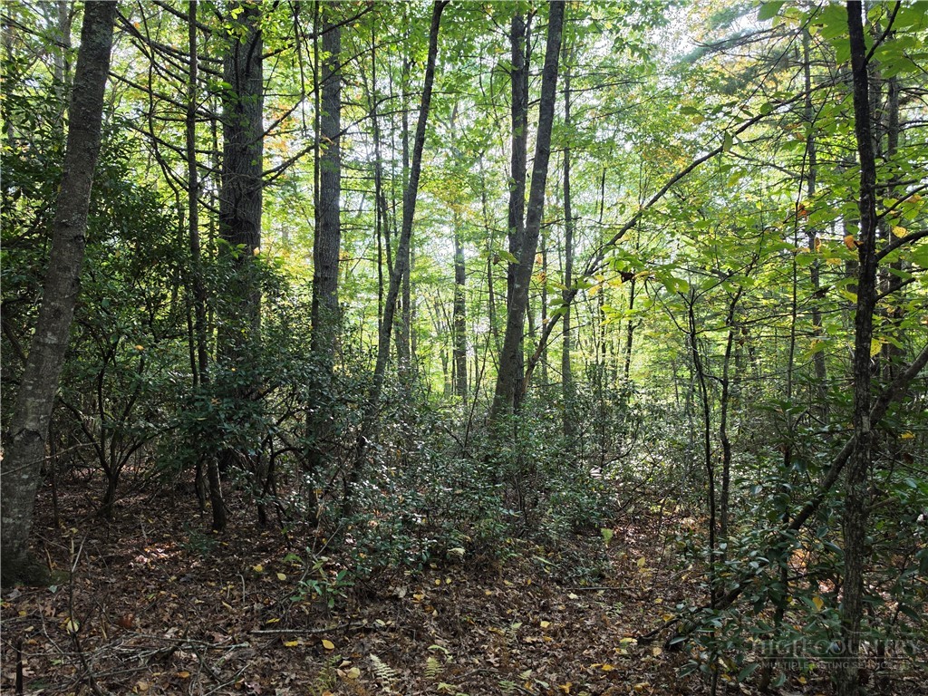 TBD Off Windy Acres Ridge Road