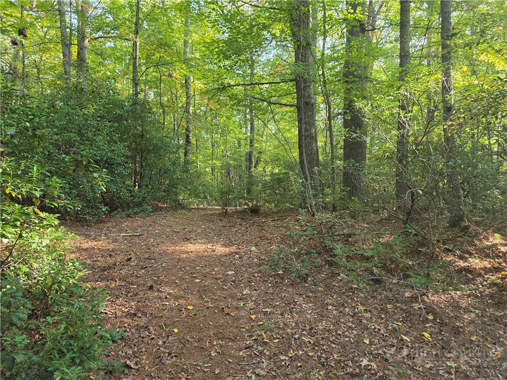 TBD Off Windy Acres Ridge Road