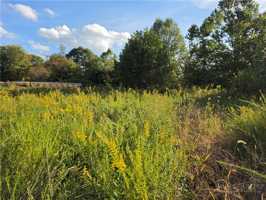 TBD US Hwy 221 / Railroad Grade Road