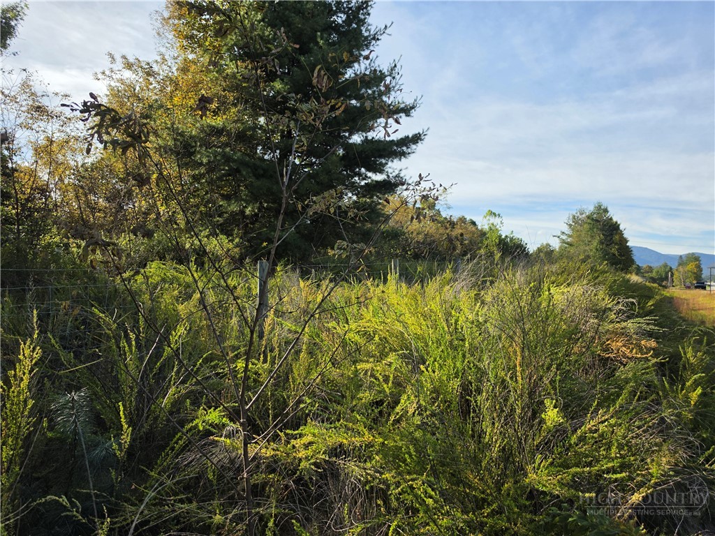 TBD US Hwy 221 / Railroad Grade Road
