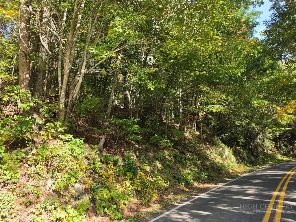 TBD US Hwy 221 / Railroad Grade Road