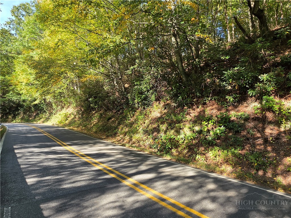 TBD US Hwy 221 / Railroad Grade Road