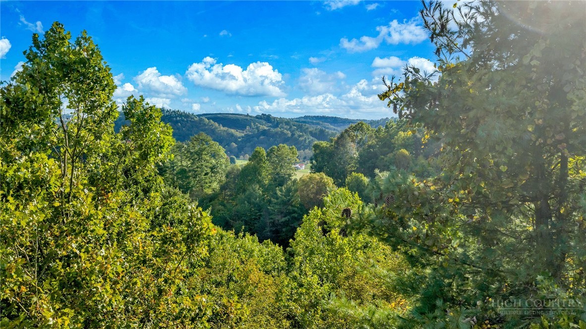 TBD US Hwy 221 / Railroad Grade Road