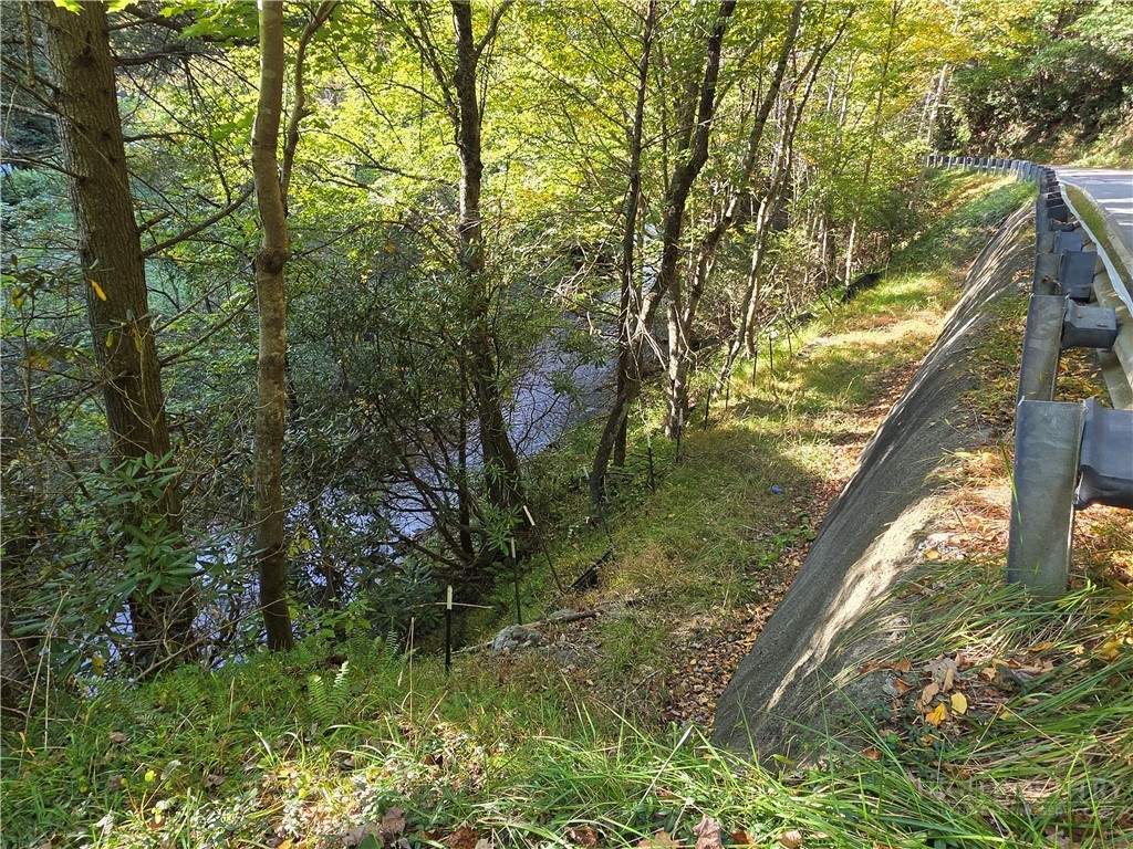 TBD US Hwy 221 / Railroad Grade Road