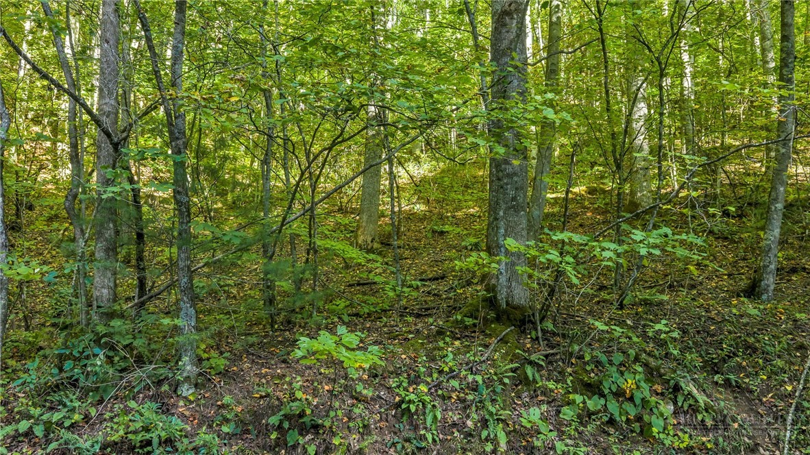 TBD Mud Creek Road