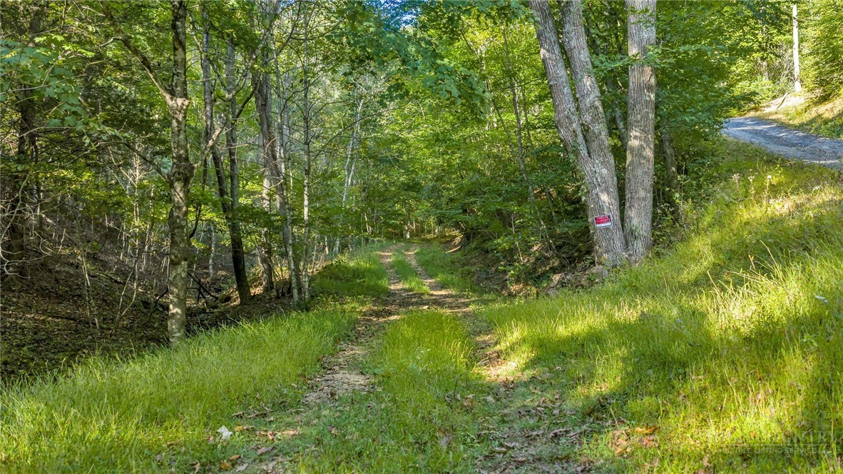 TBD Mud Creek Road