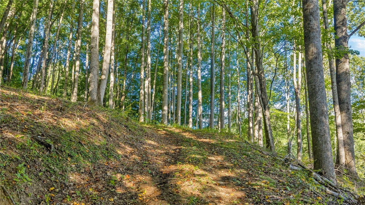 TBD Mud Creek Road