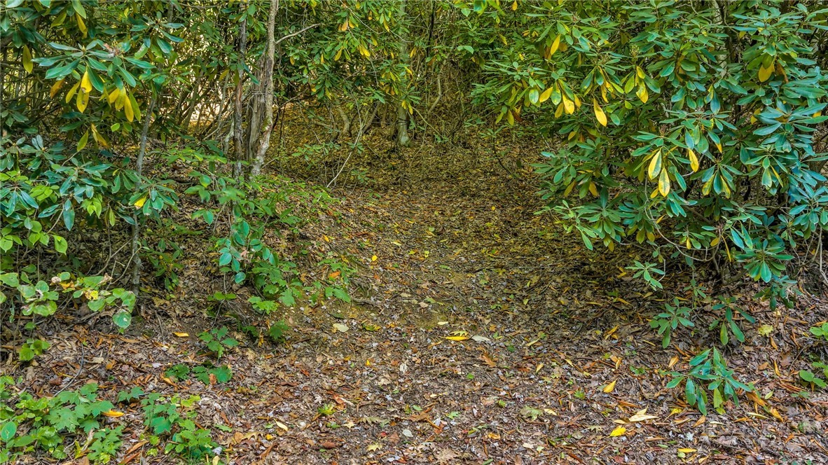 TBD Mud Creek Road