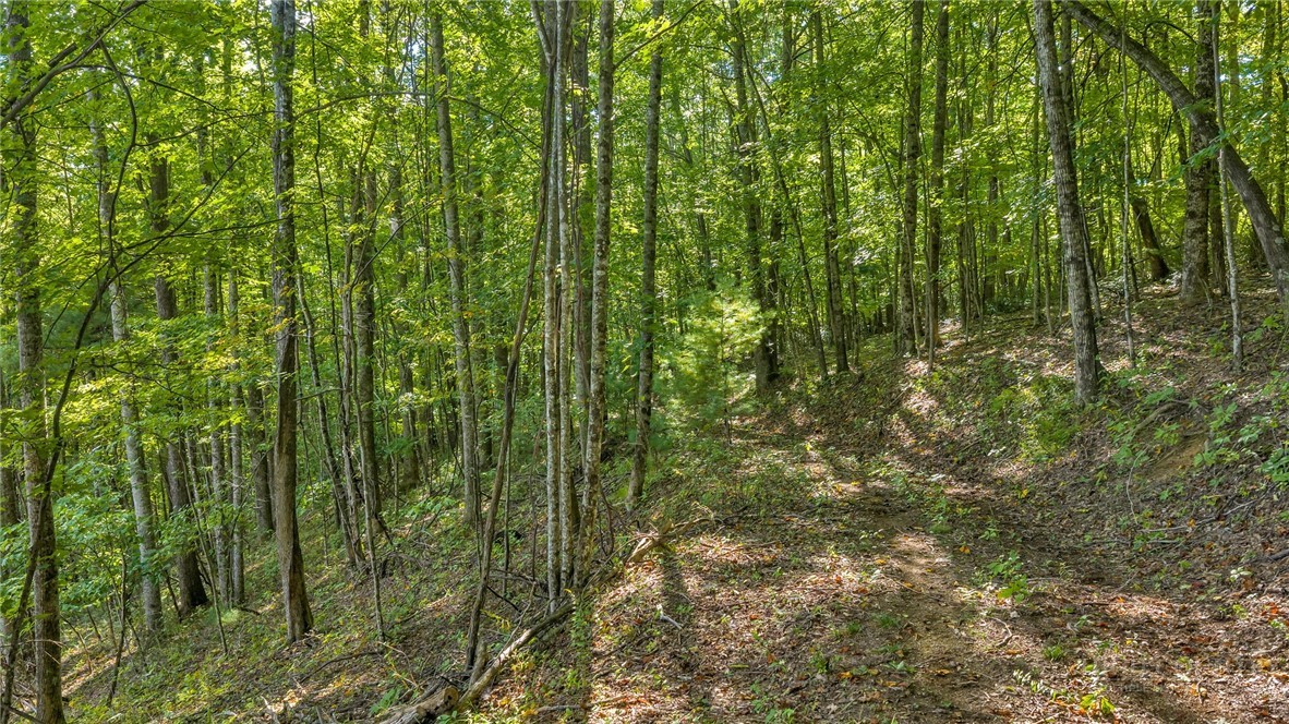 TBD Mud Creek Road