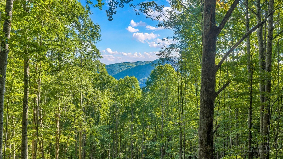 TBD Mud Creek Road