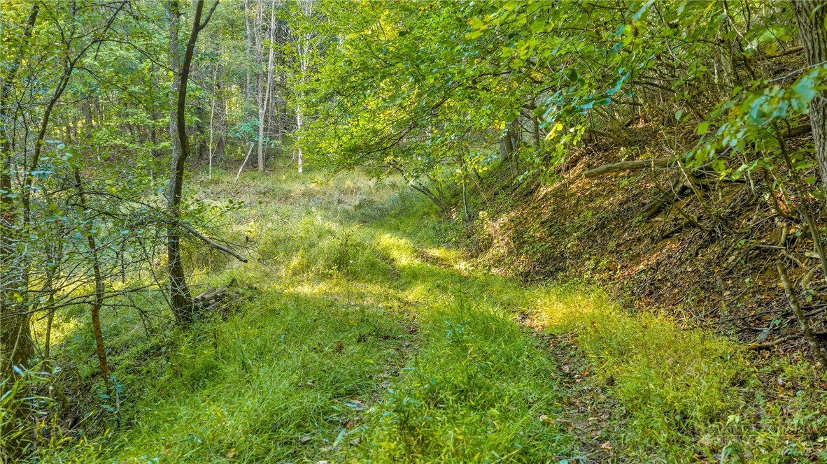 TBD Mud Creek Road