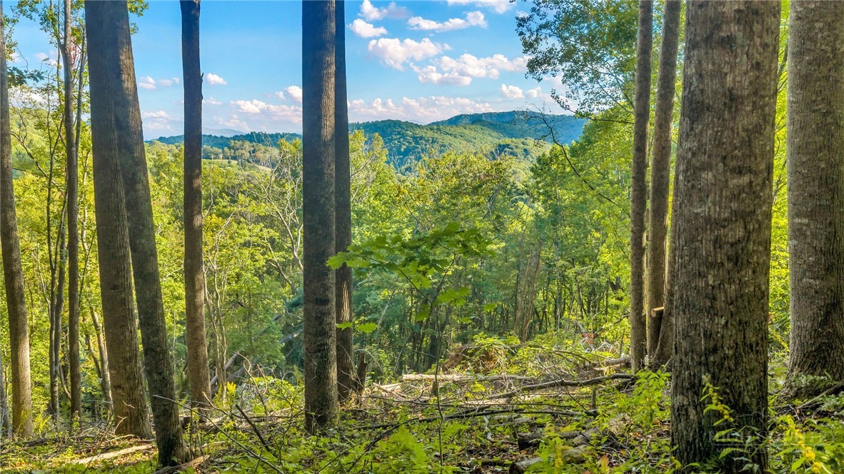 TBD Mud Creek Road