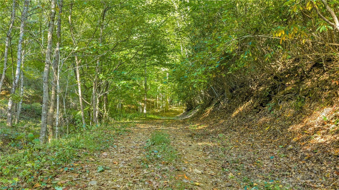 TBD Mud Creek Road
