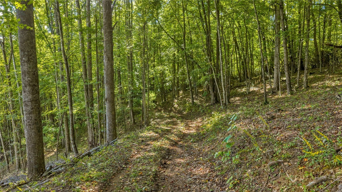 TBD Mud Creek Road