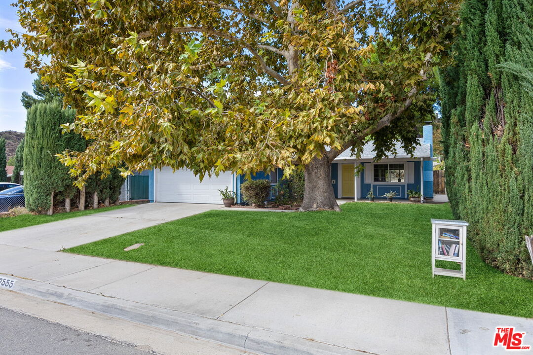 29555 Abelia Rd