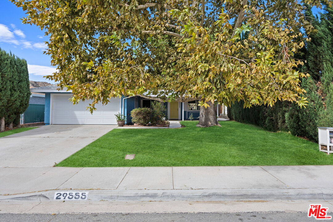 29555 Abelia Rd