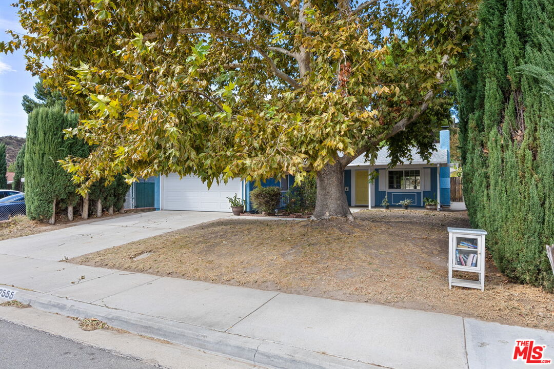 29555 Abelia Rd