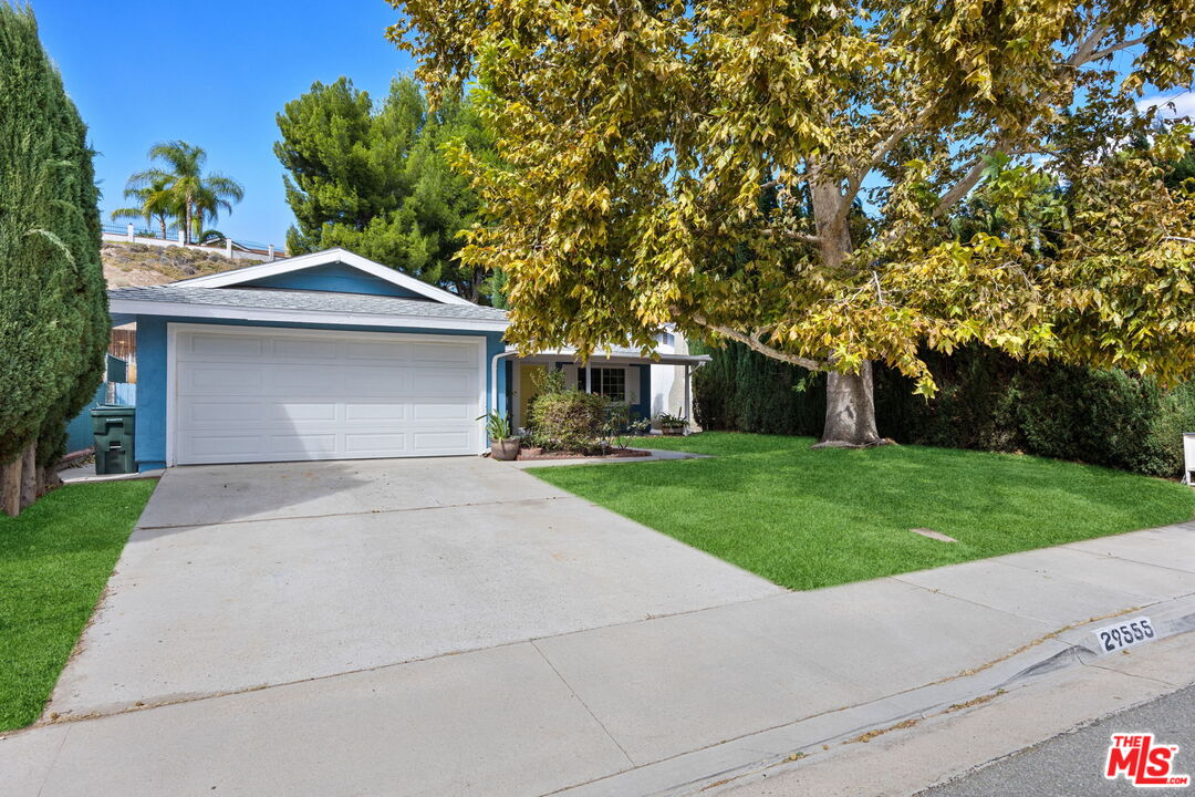 29555 Abelia Rd