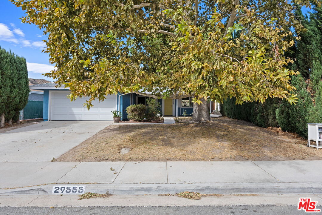 29555 Abelia Rd