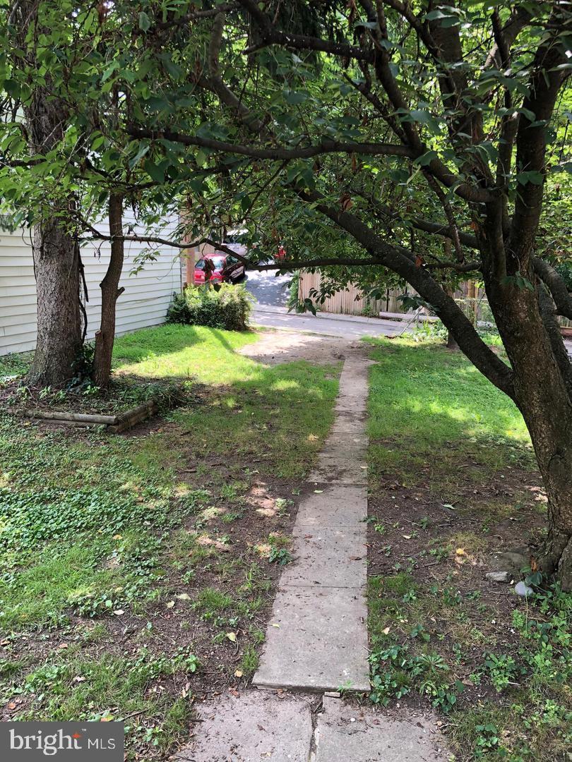 247 GREEN LANE