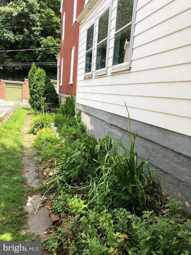 247 GREEN LANE