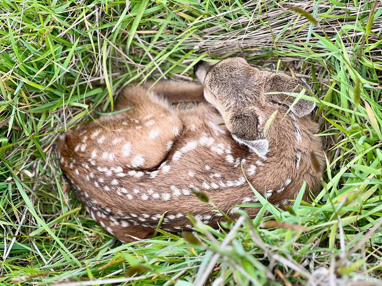 35844 Sea Ridge Road