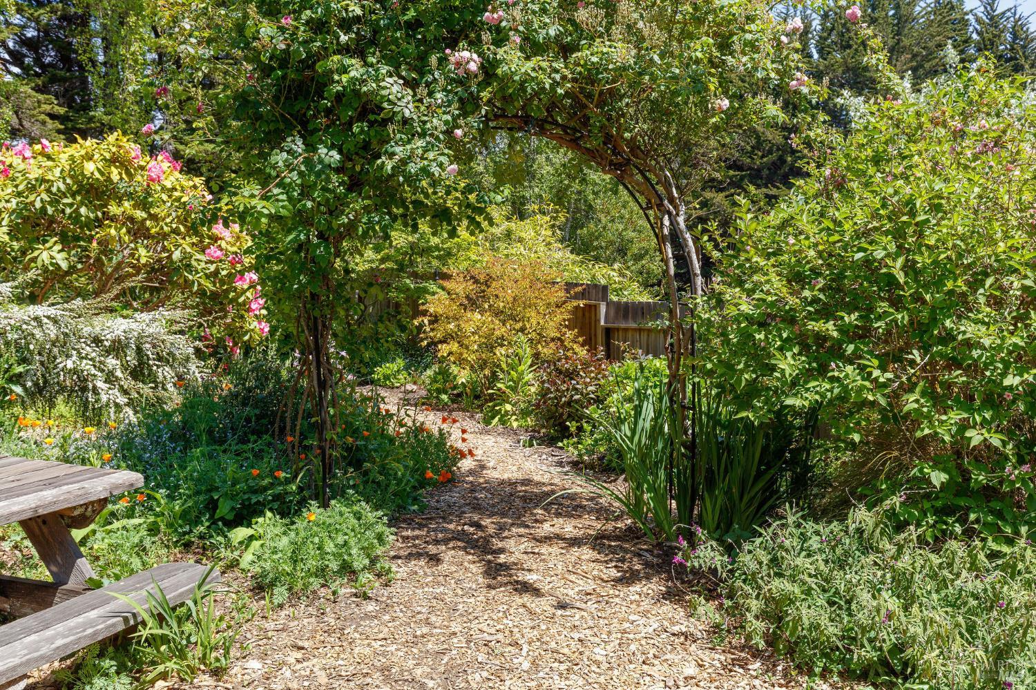 355 Chinquapin Lane