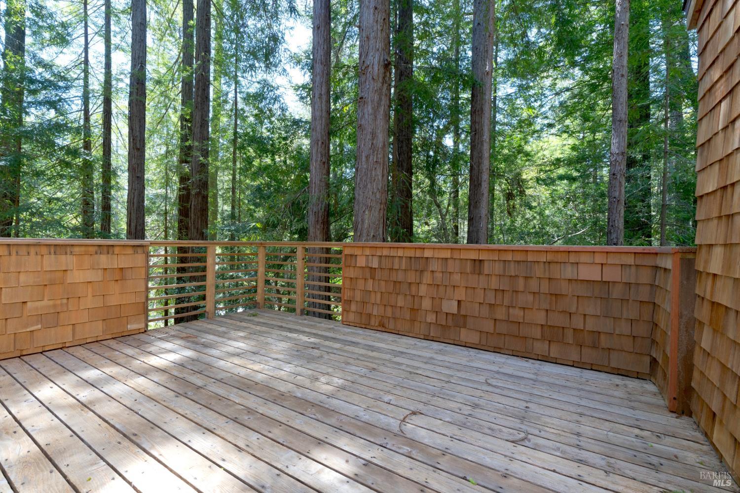 355 Chinquapin Lane