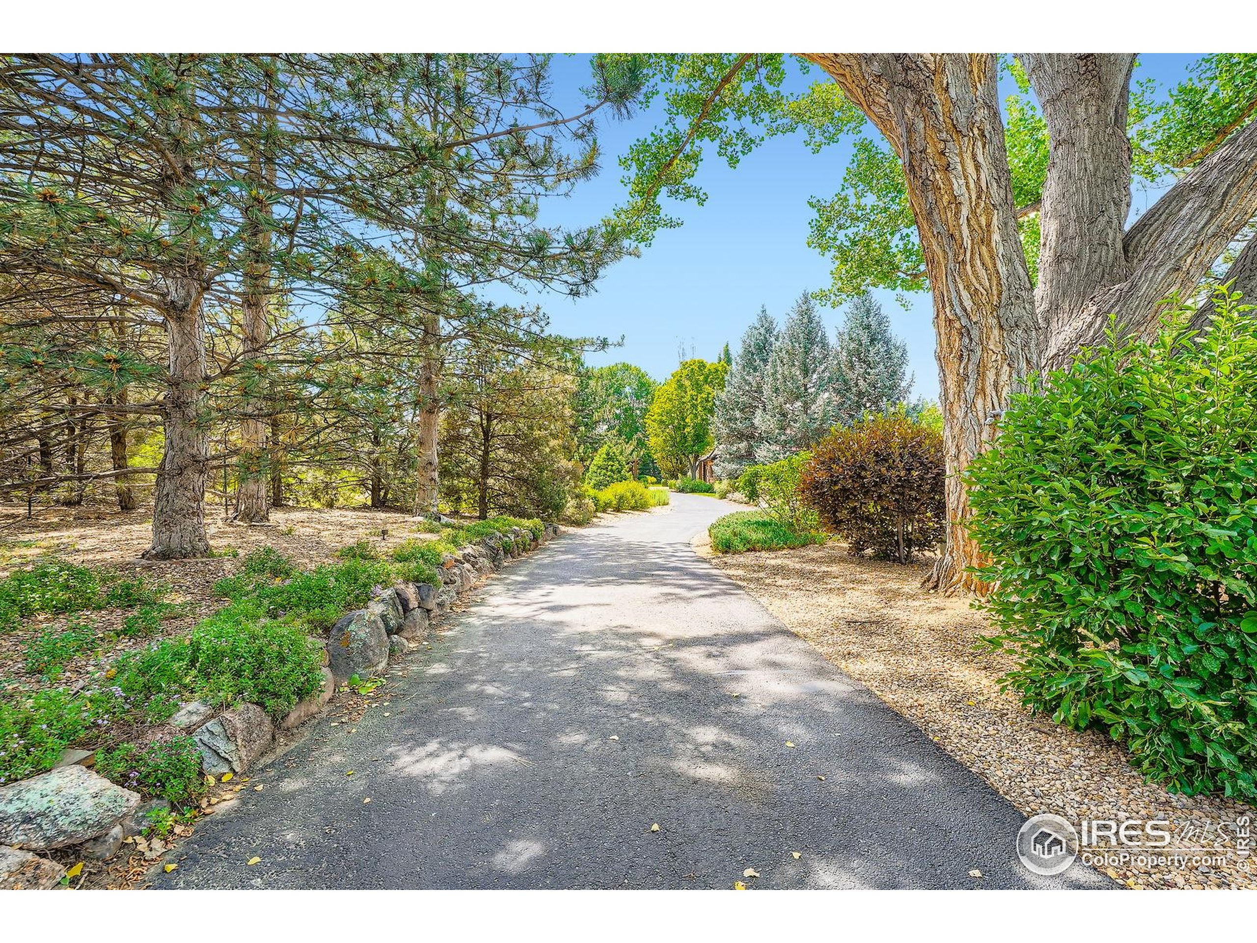 8576 Niwot Meadow Farm Rd