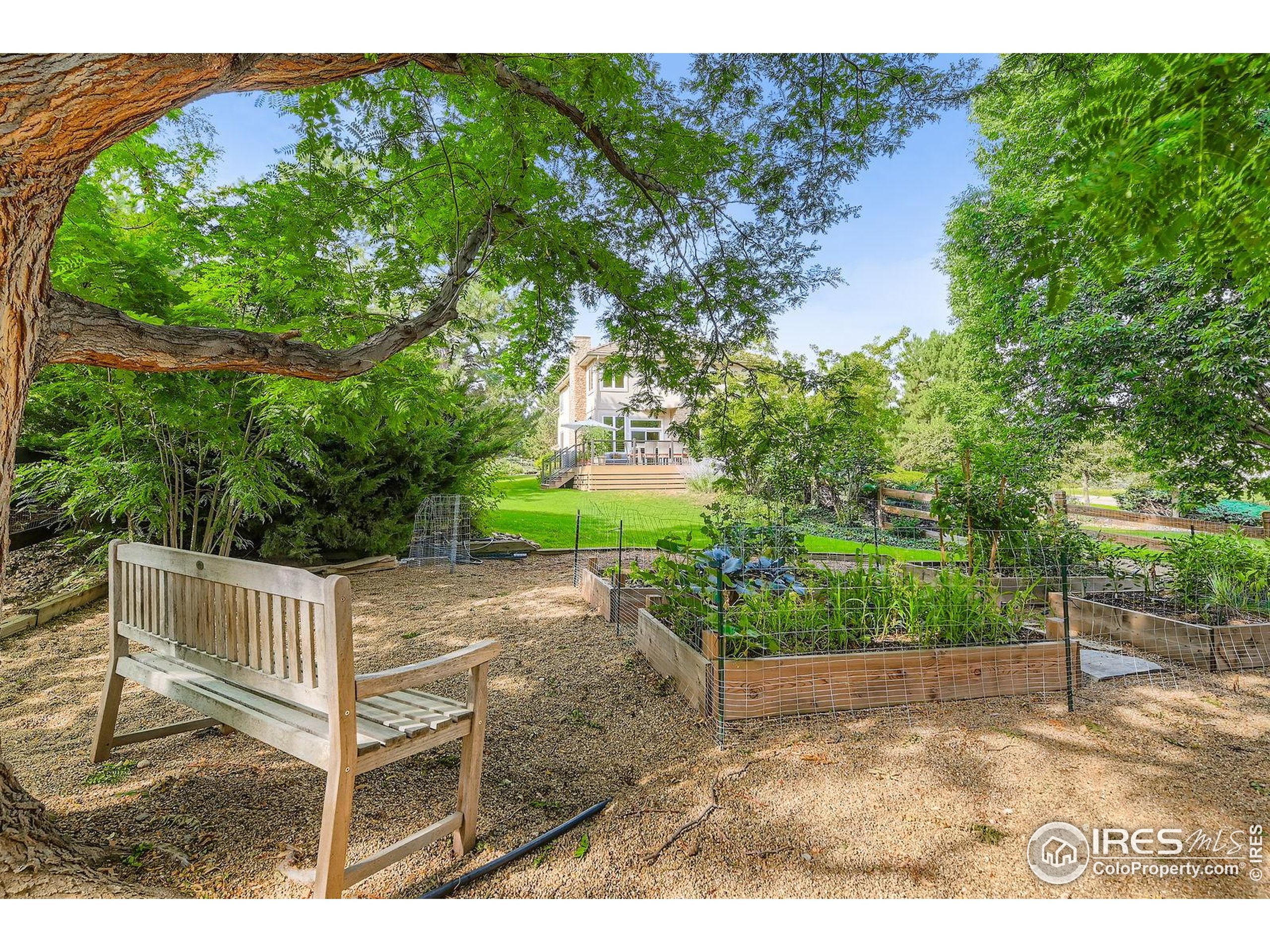 6516 Columbine Ct