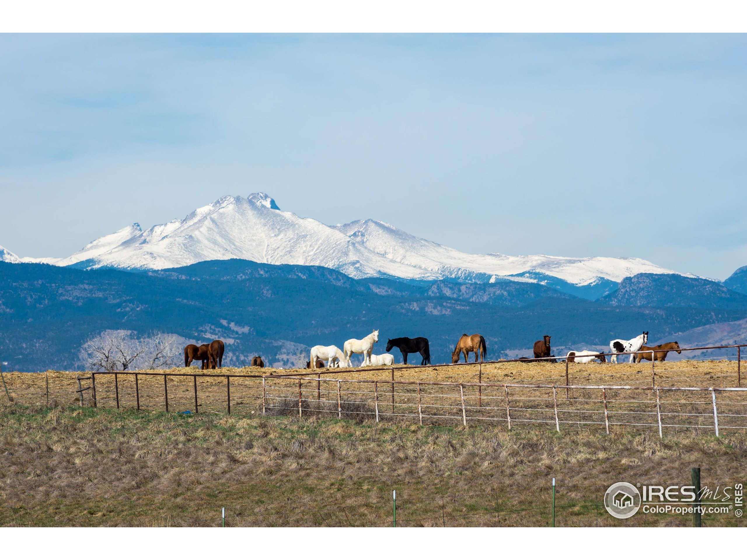 7204 Spring Creek Cir