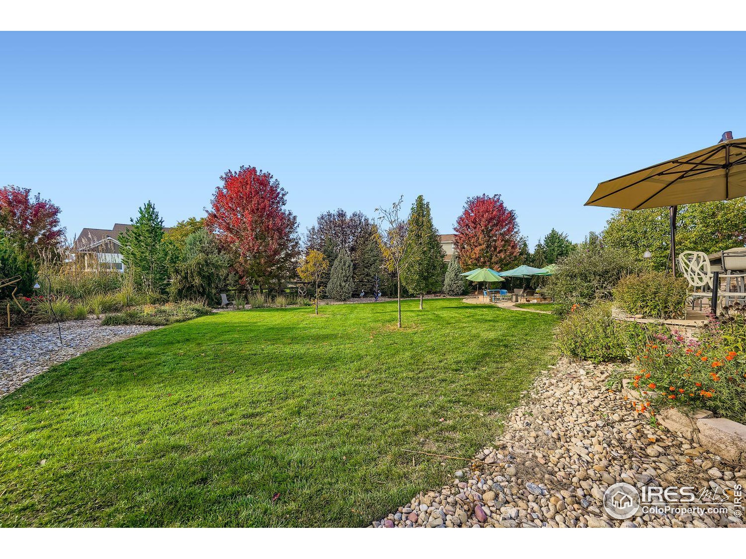 7464 Whirlaway Ln Niwot