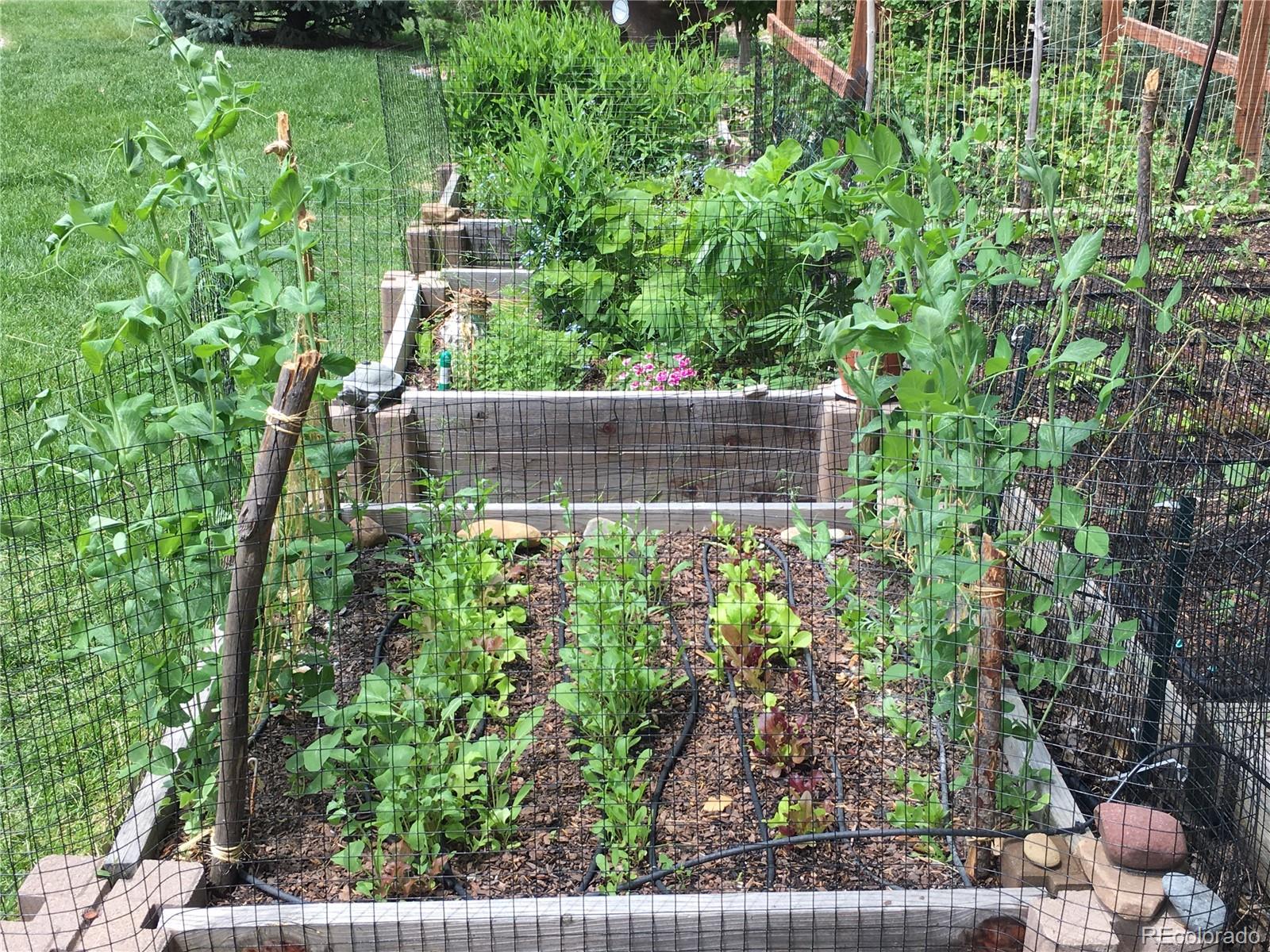 7202 Snow Peak Court