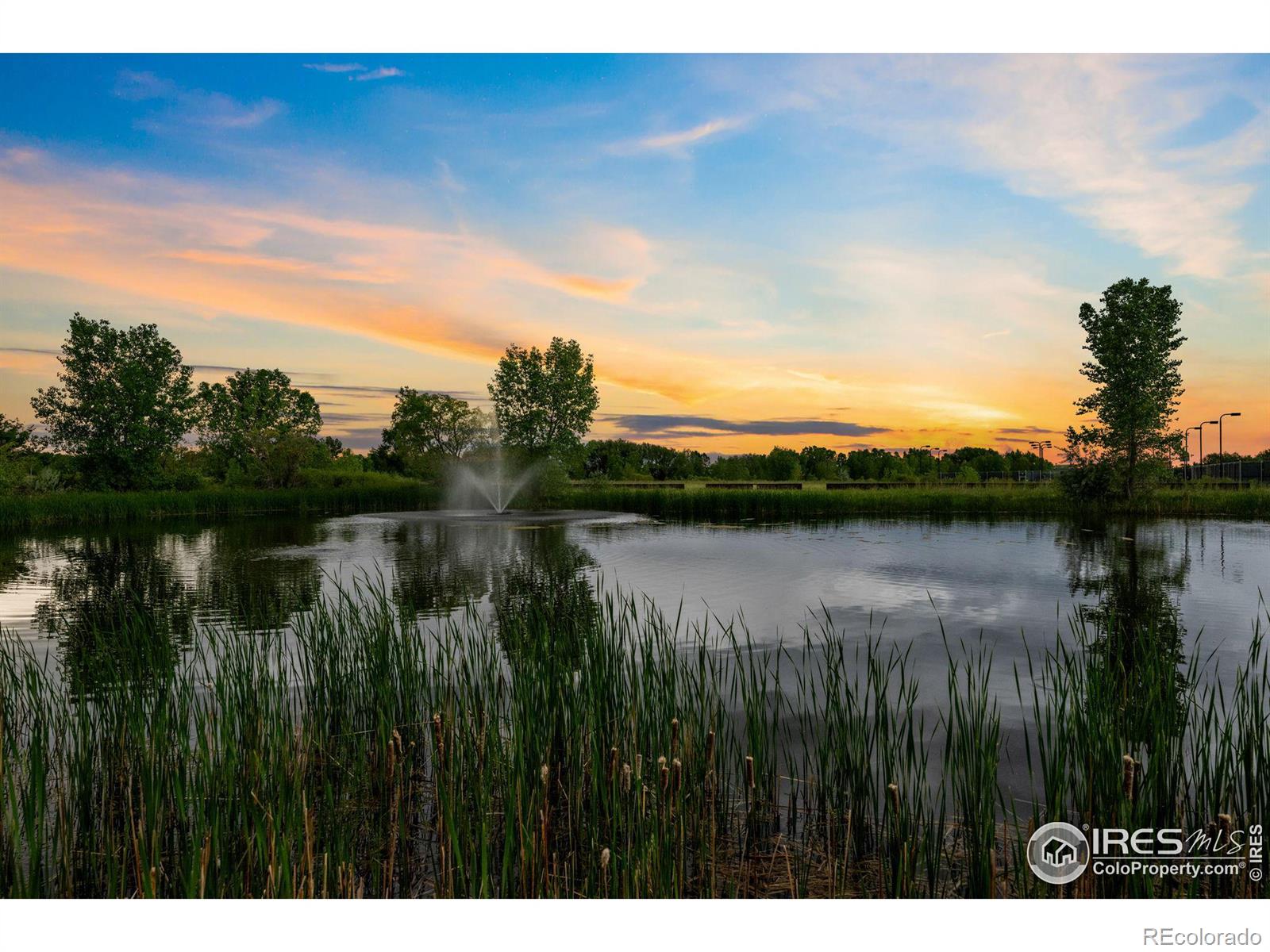 221 Western Sky Circle