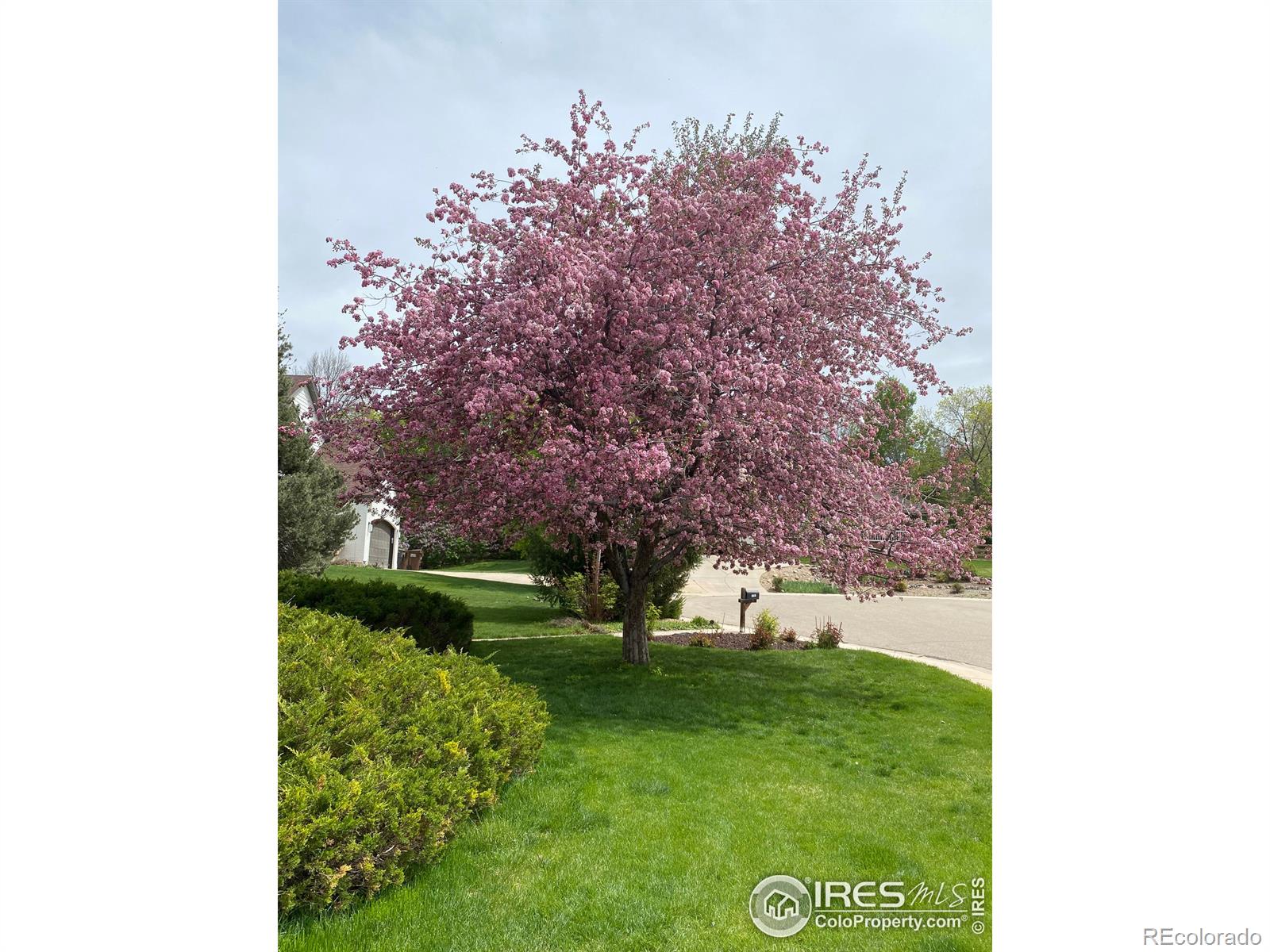 7202 Snow Peak Court