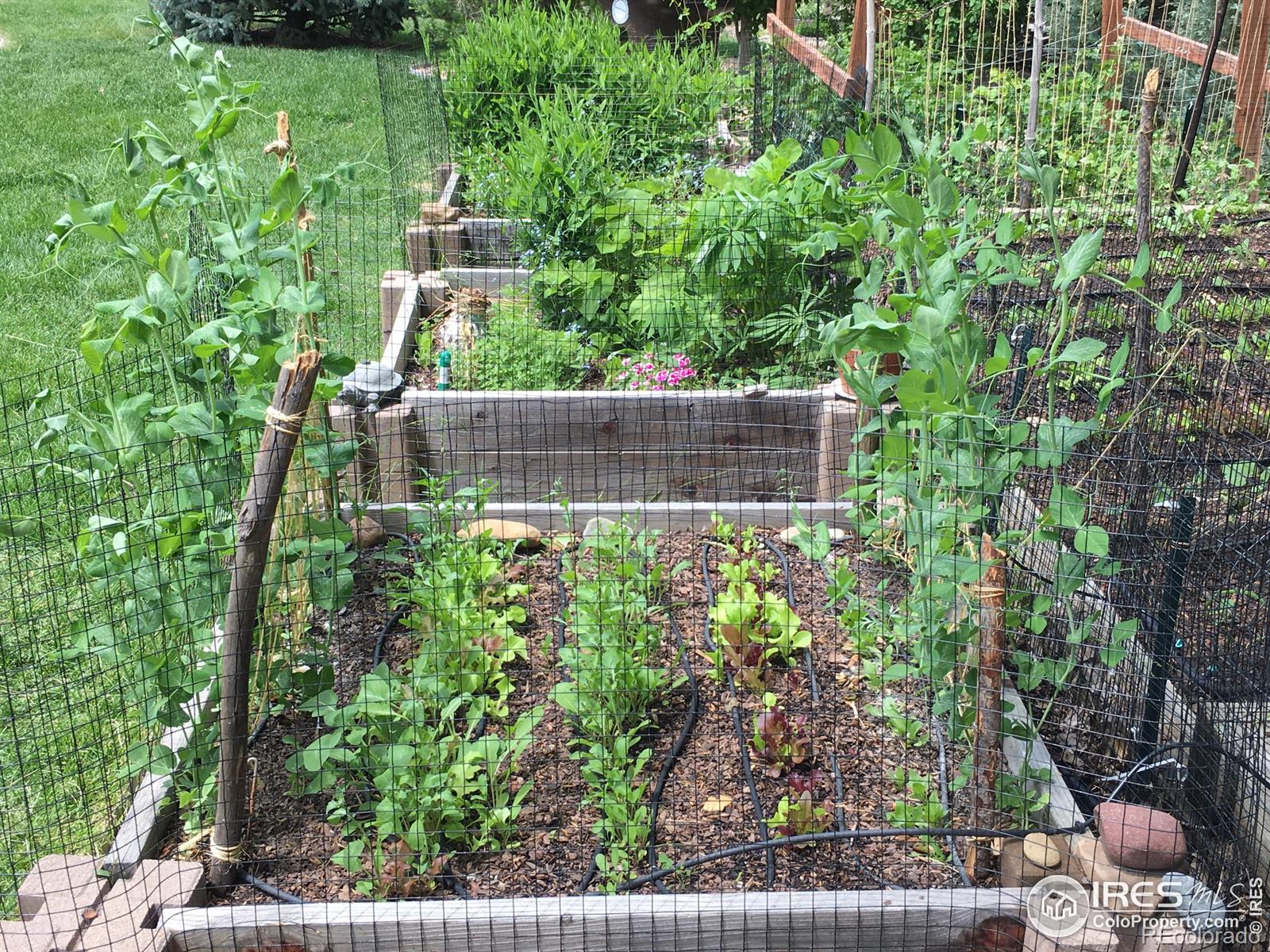 7202 Snow Peak Court