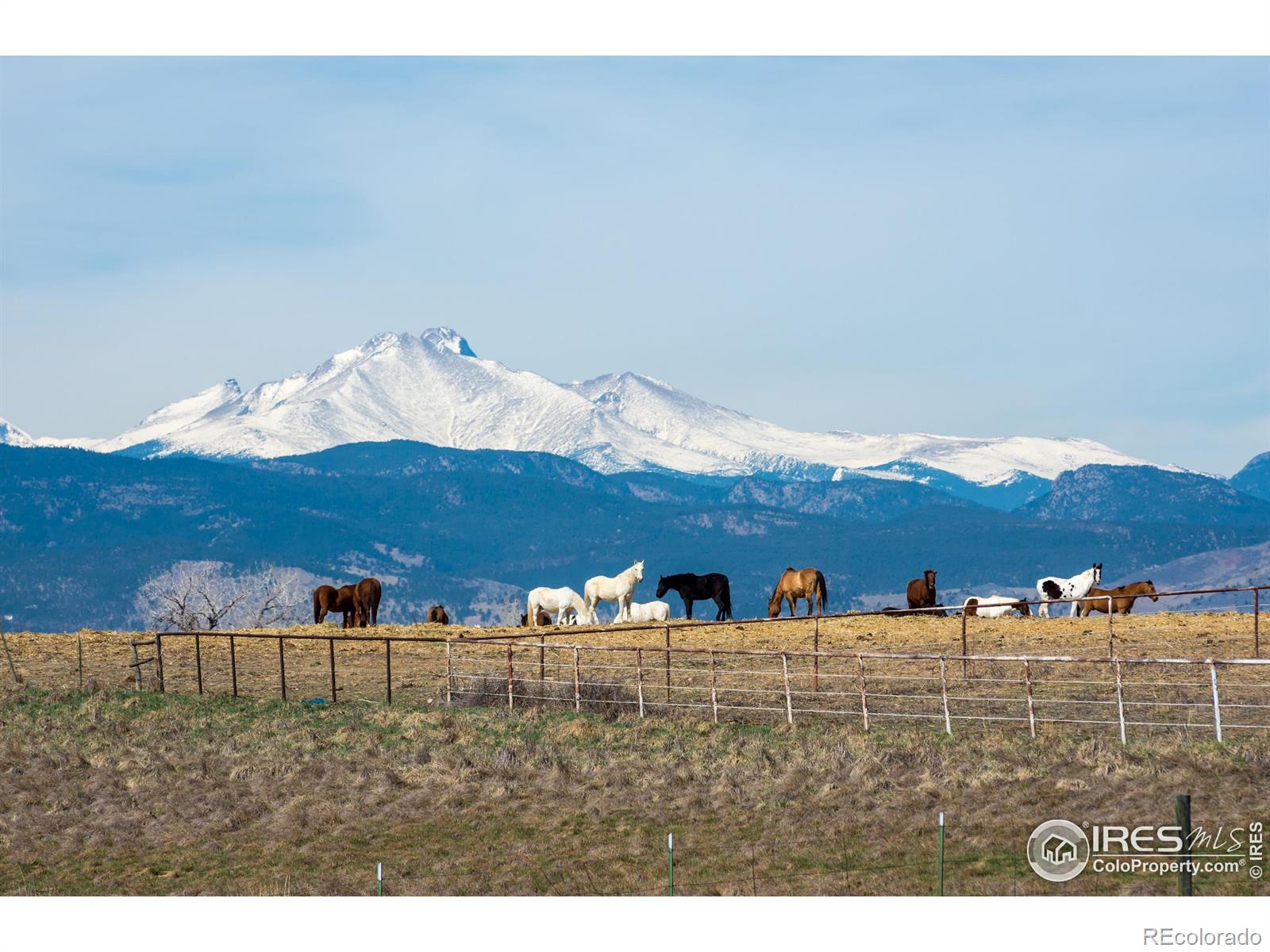 8576 Niwot Meadow Farm Road