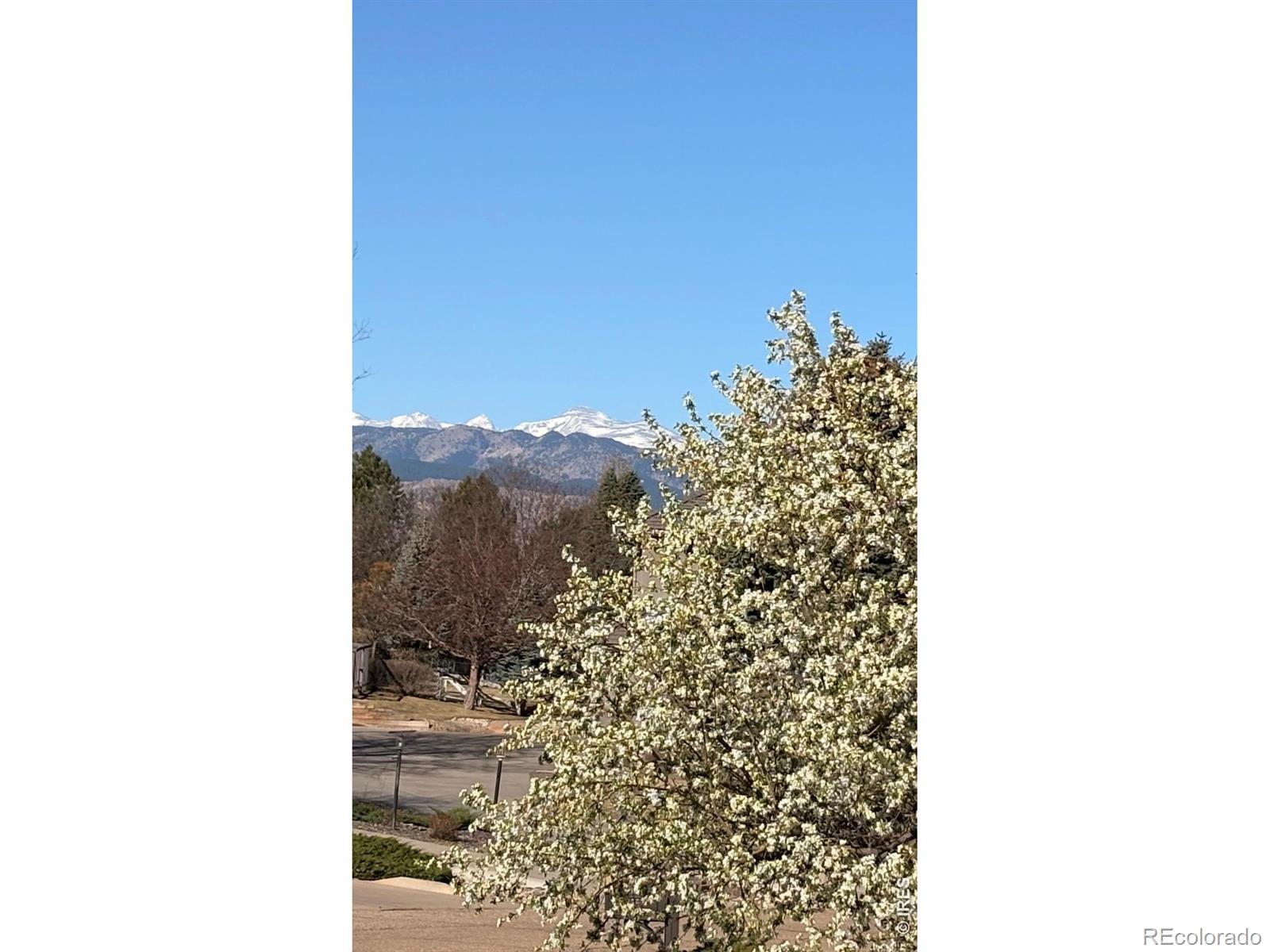 8589 Skyland Drive