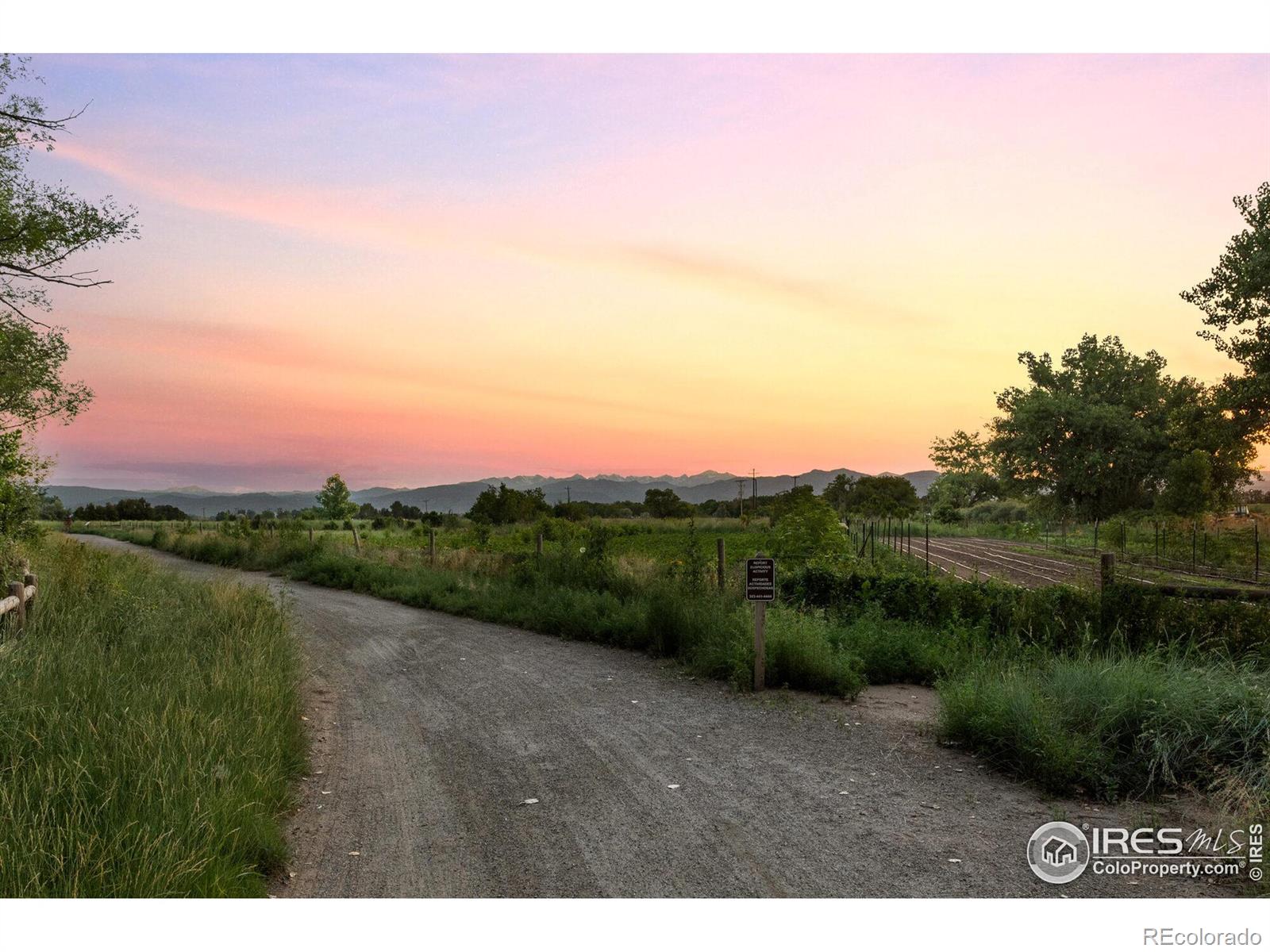 2307 Water Cress Court