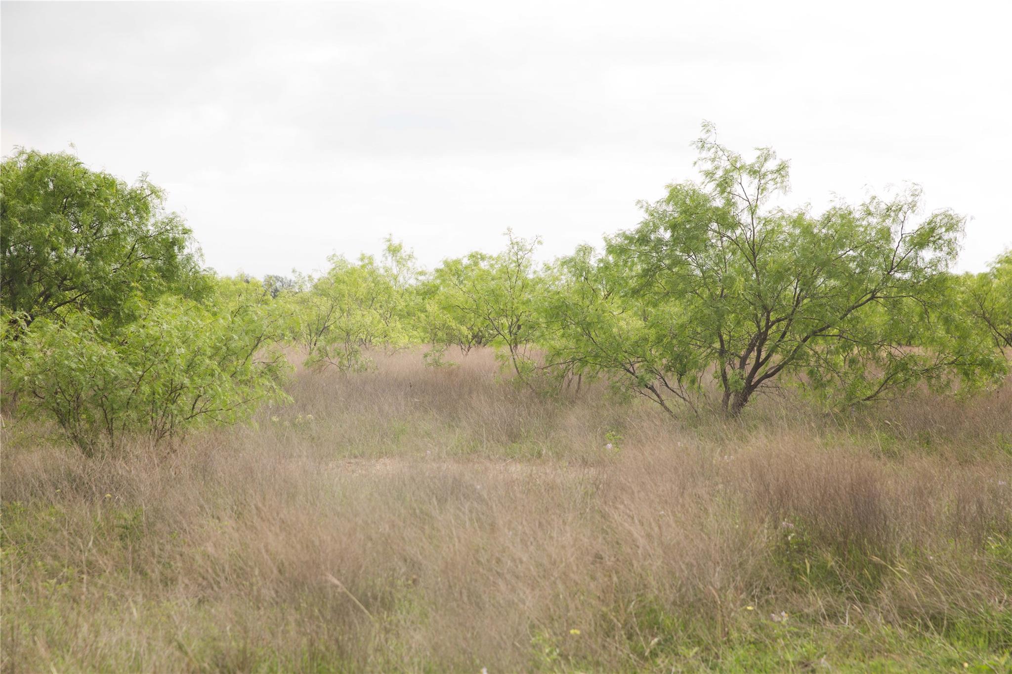 Tract 34 County Road 2800