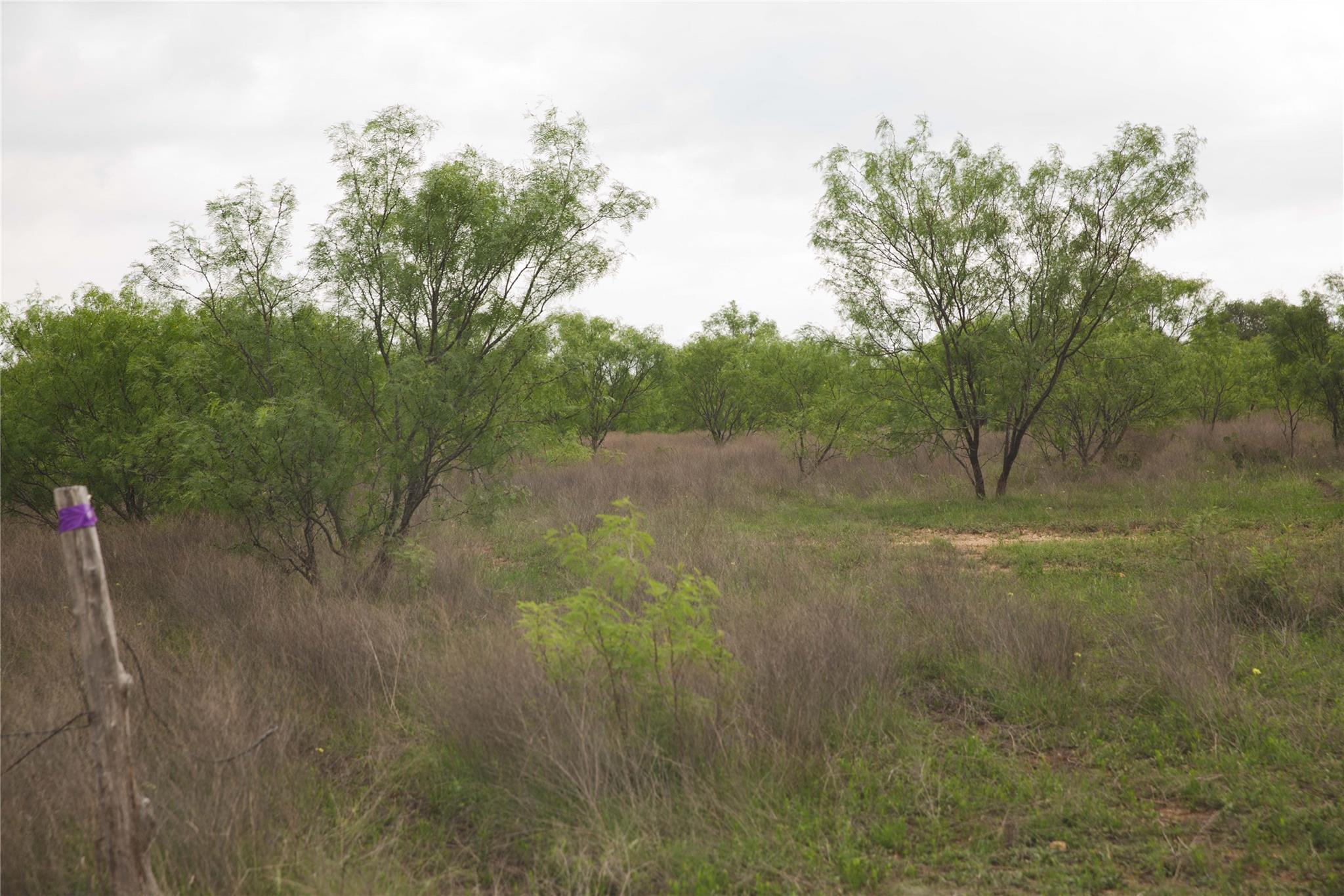 Tract 34 County Road 2800