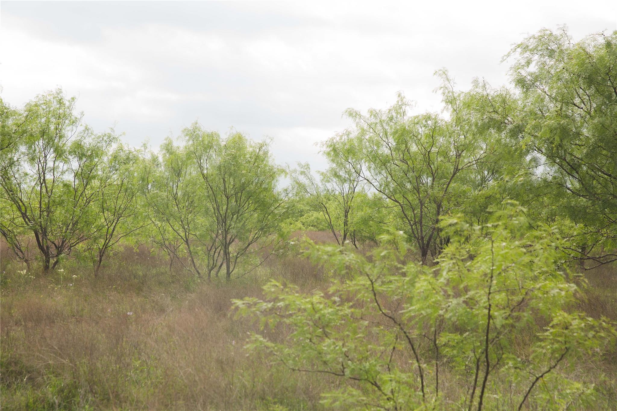 Tract 34 County Road 2800