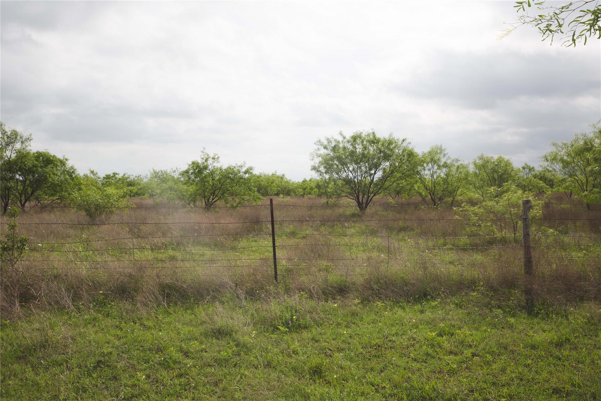 Tract 34 County Road 2800