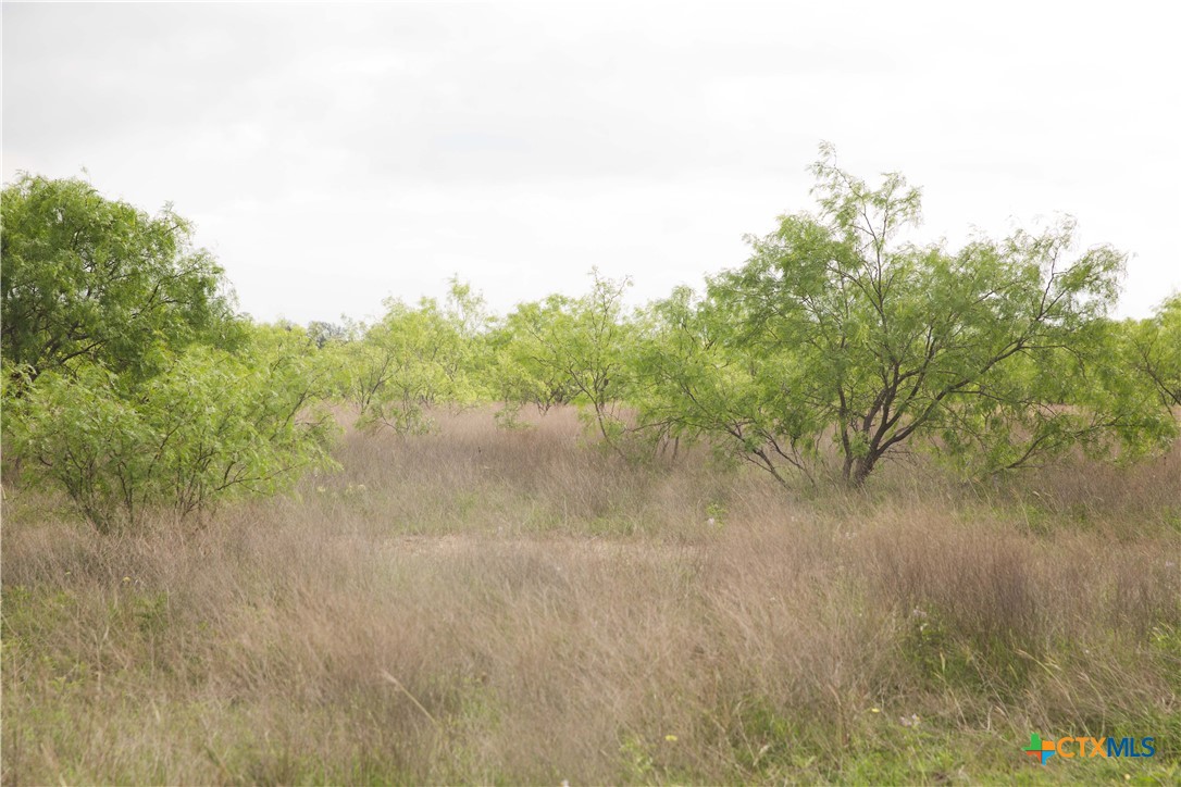 1843 County Road 2800