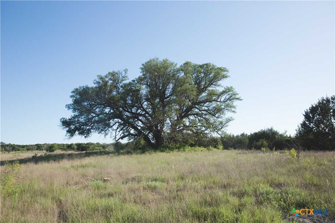 TBD County Road 3900