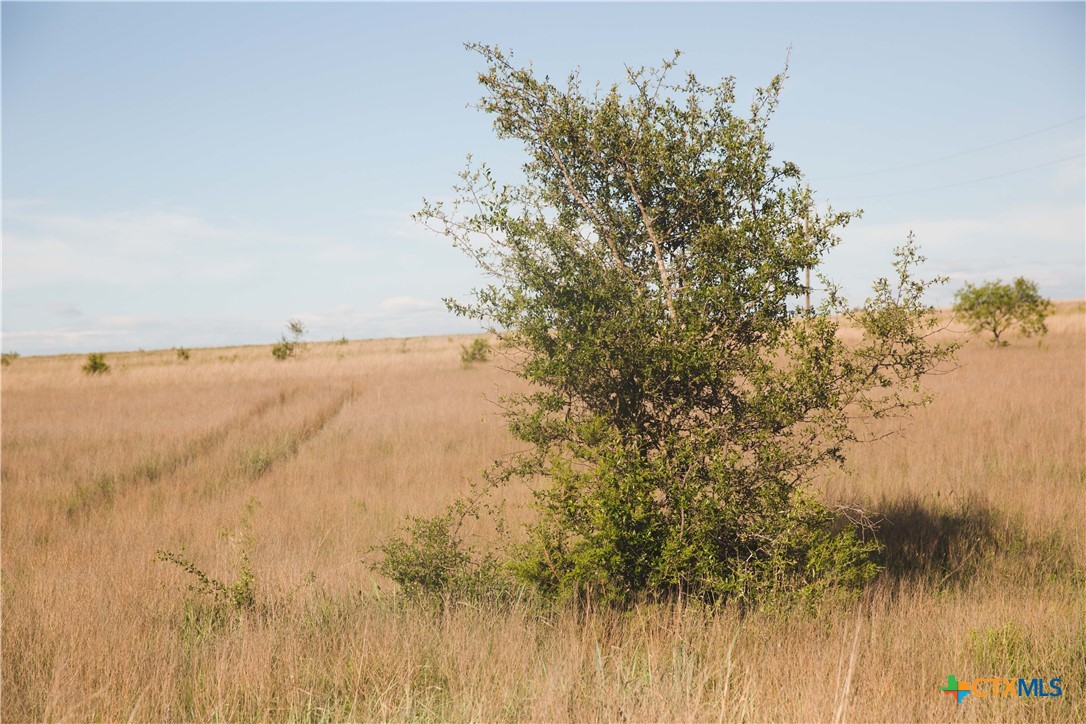 Lot 9 County Road 2109