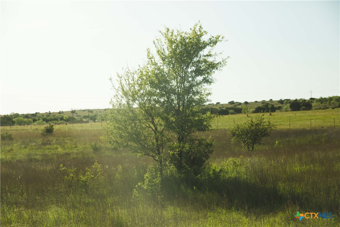 Lot 9 County Road 2109
