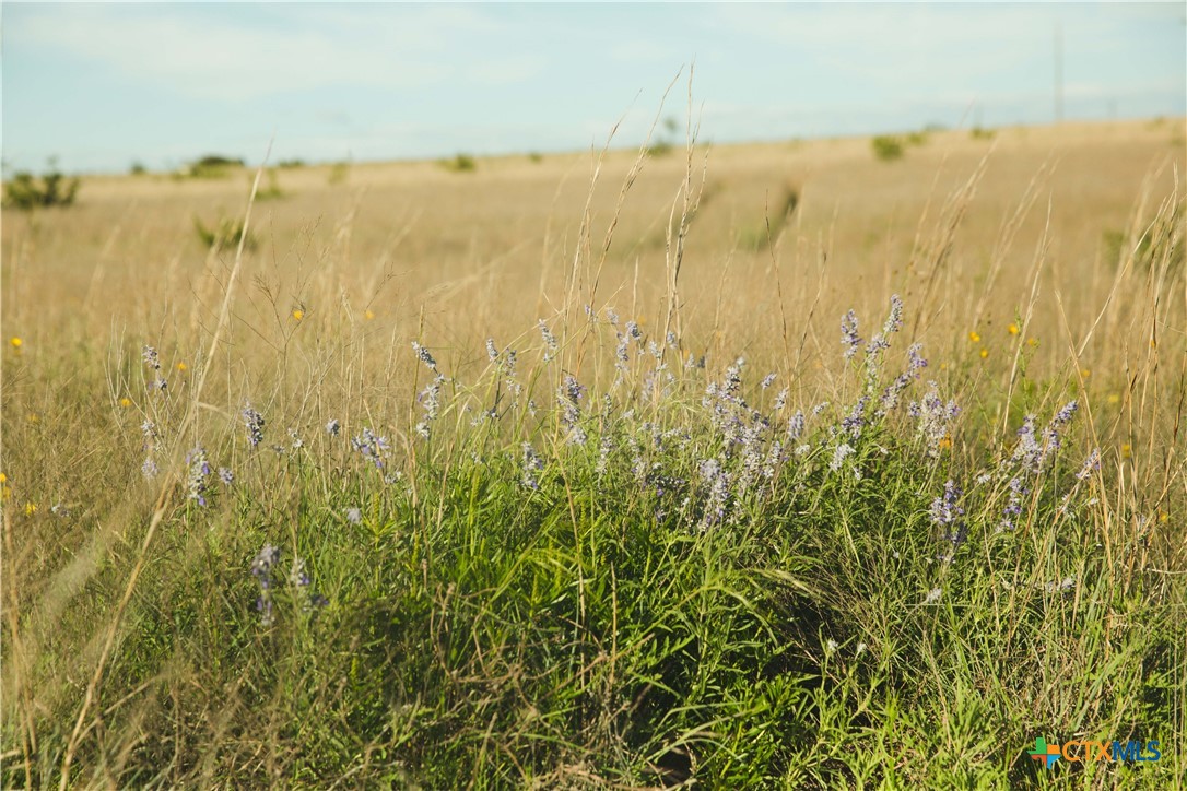 Lot 9 County Road 2109