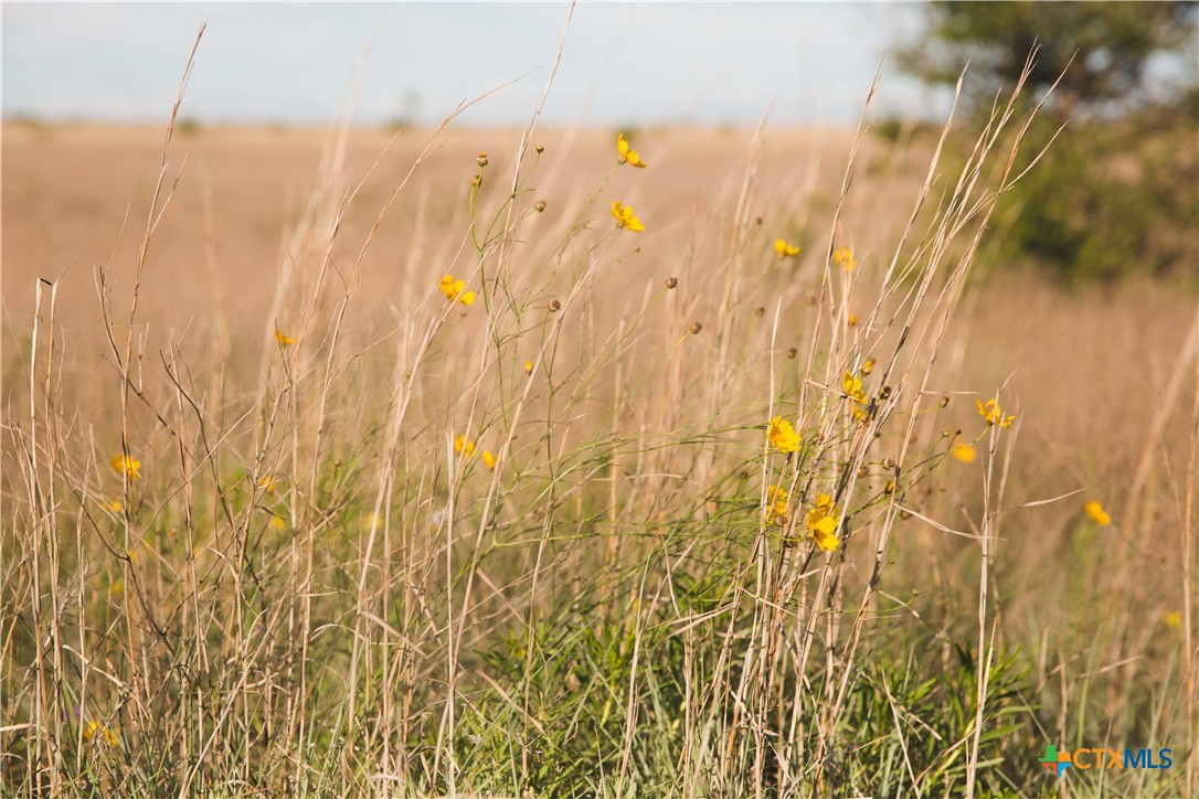 Lot 9 County Road 2109